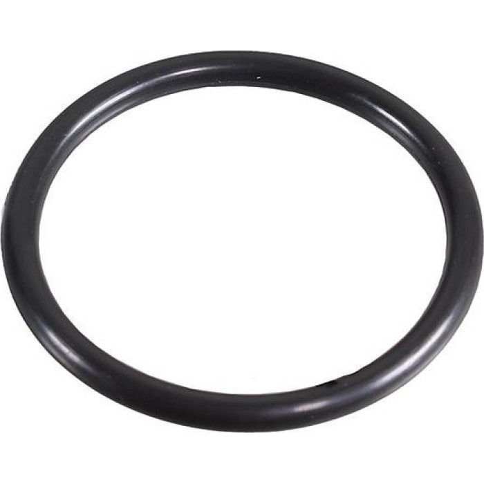 Metzger 2430067 Dichtring