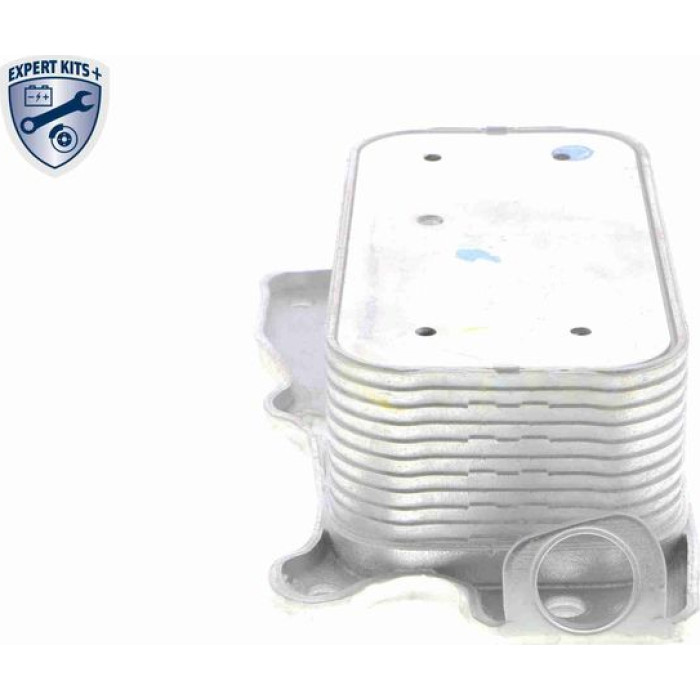 Vemo V30-60-1321 Ölkühler, Motoröl Expert Kits + Vemo V30-60-1321 Ölkühler, Motoröl Expert Kits +