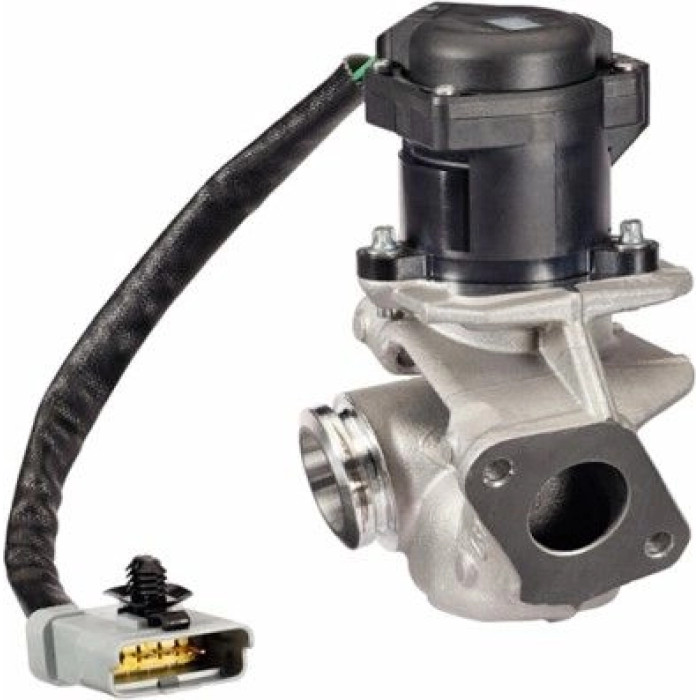 Hella 6NU 010 171-131 AGR-Ventil