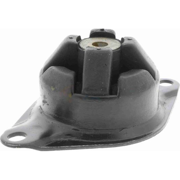 Vaico V10-2430 Lagerung, Motor