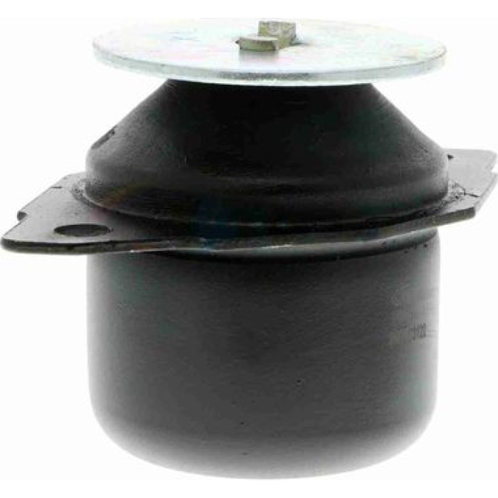 Vaico V10-1176 Lagerung, Motor
