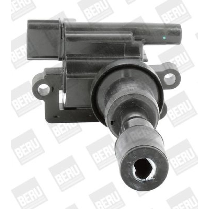 BorgWarner (BERU) ZSE193 Zündspule BorgWarner (BERU) ZSE193 Zündspule