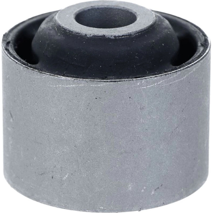 Lemförder 10063 01 Lagerung, Achskörper