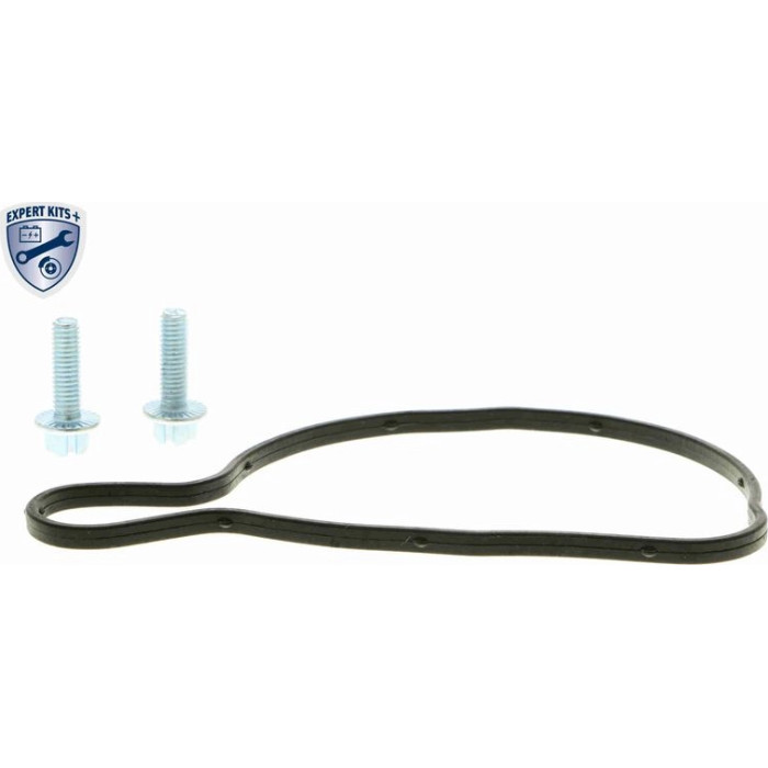 Vaico V10-50063 Wasserpumpe Expert Kits + Vaico V10-50063 Wasserpumpe Expert Kits +