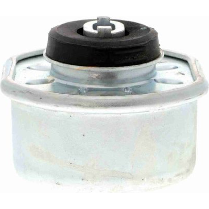 Vaico V10-1324 Lagerung, Motor