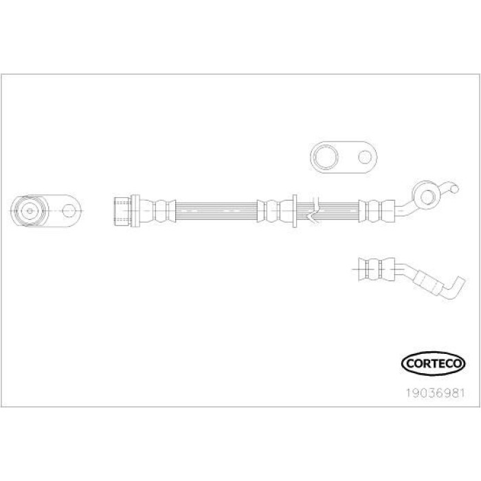 Corteco 19036981 Bremsschlauch