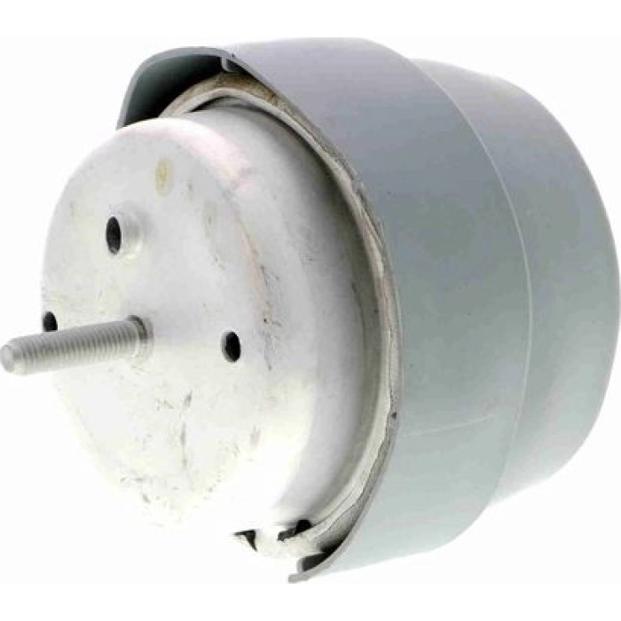 Vaico V10-2184 Lagerung, Motor