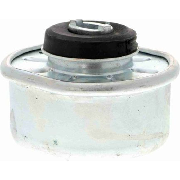 Vaico V10-1324 Lagerung, Motor