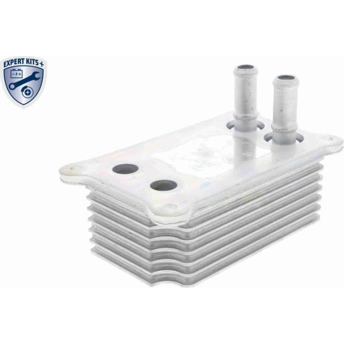 Vemo V25-60-0031 Ölkühler, Motoröl Expert Kits + Vemo V25-60-0031 Ölkühler, Motoröl Expert Kits +