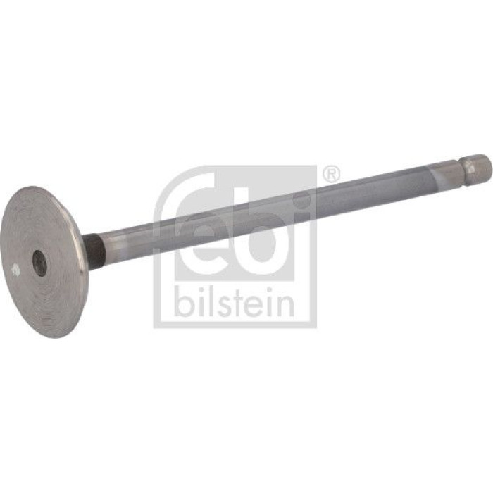 Auslassventil 1000392