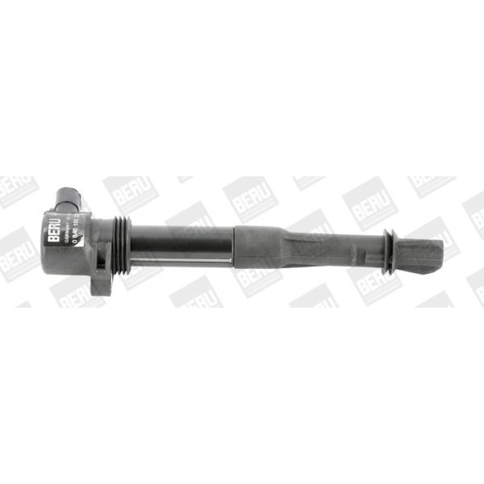 BorgWarner (BERU) ZS320 Zündspule