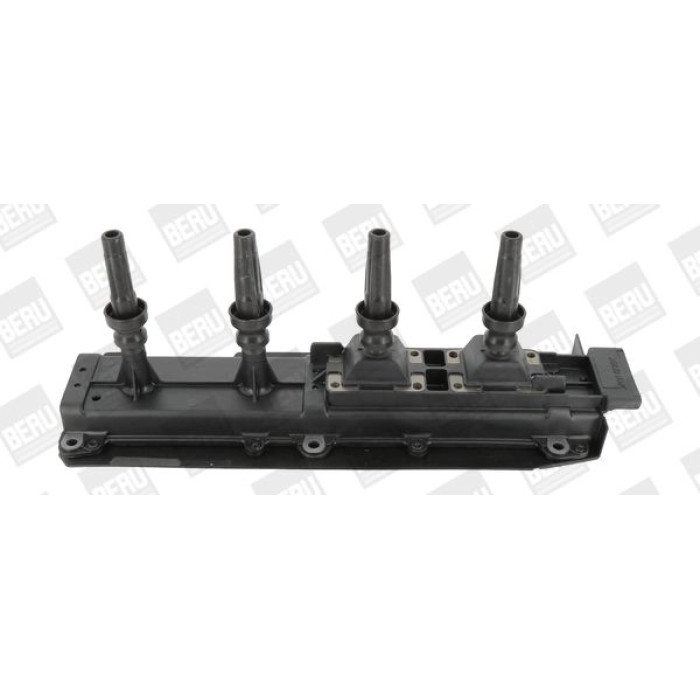 BorgWarner (BERU) ZS349 Zündspule