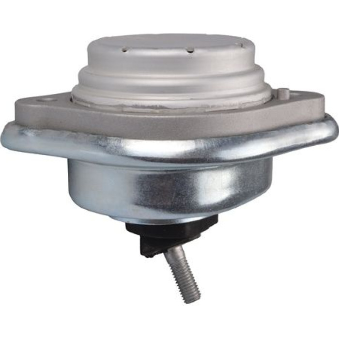 Tedgum 00088531 Lagerung, Motor