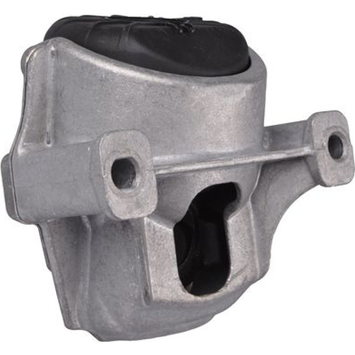 Tedgum 00058470 Lagerung, Motor