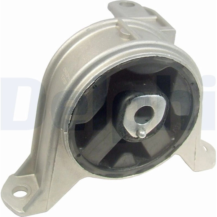 Delphi TEM003 Lagerung, Motor
