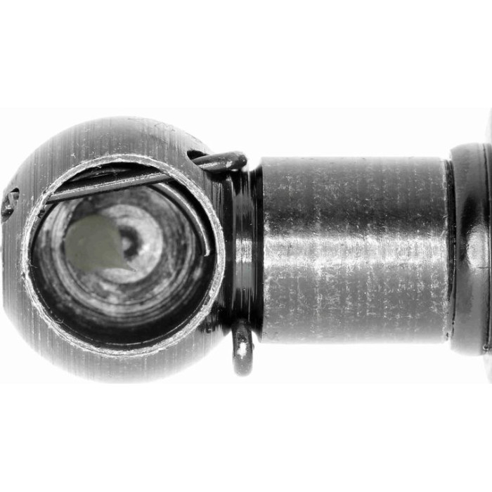 Gasfeder, Koffer-/Laderaum V10-0239