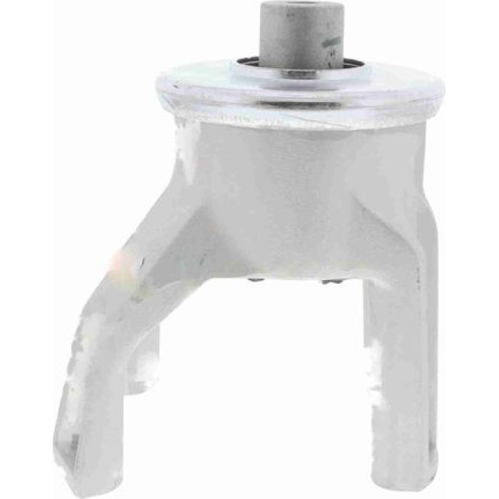 Vaico V10-2432 Lagerung, Motor