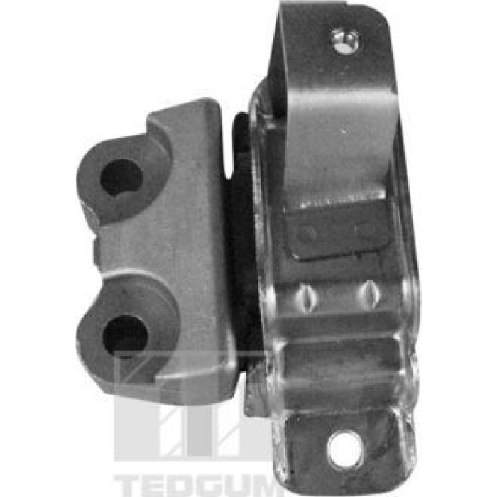 Tedgum 00219490 Lagerung, Motor