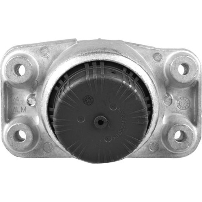 Tedgum TED97635 Lagerung, Motor