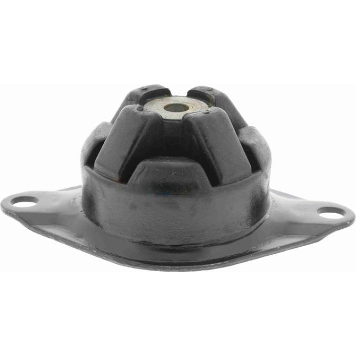 Vaico V10-2430 Lagerung, Motor