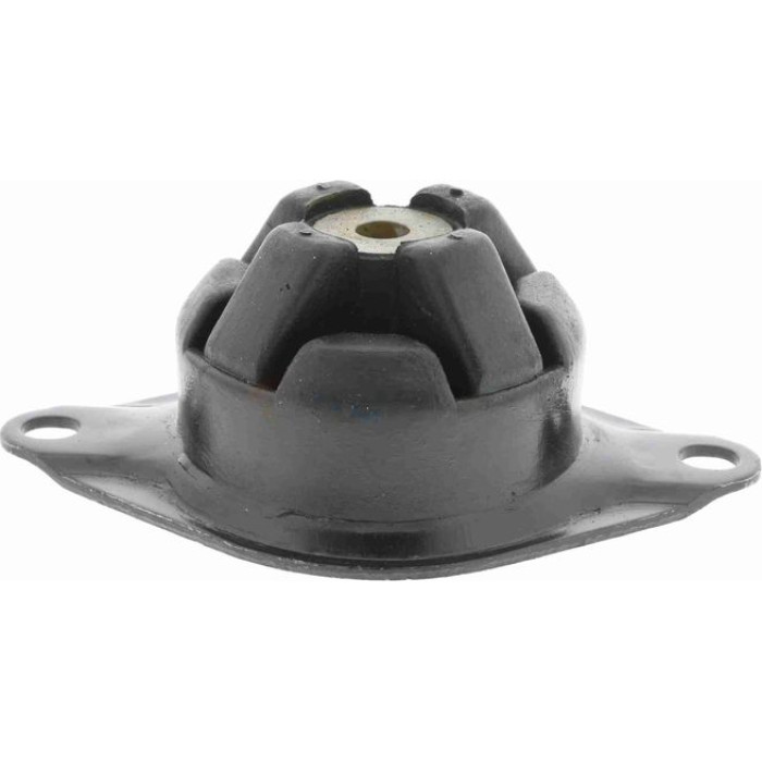Vaico V10-2430 Lagerung, Motor