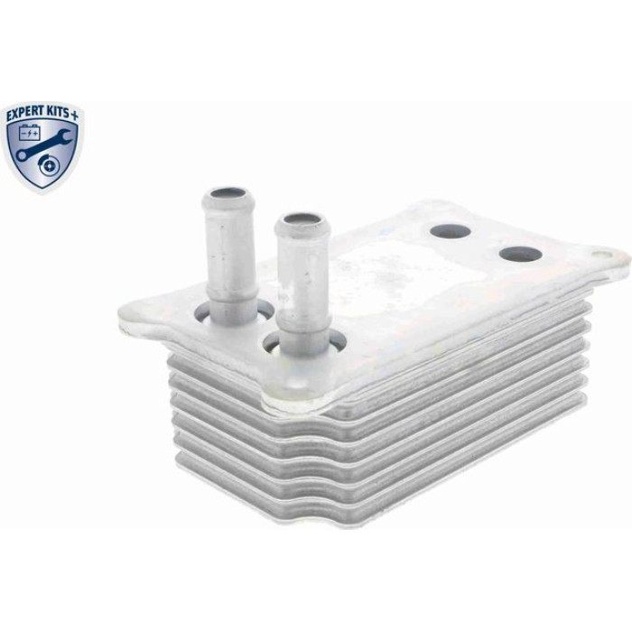 Vemo V25-60-0031 Ölkühler, Motoröl Expert Kits + Vemo V25-60-0031 Ölkühler, Motoröl Expert Kits +
