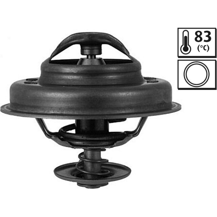 Thermostat, Kühlmittel 820010 Thermostat, Kühlmittel 820010