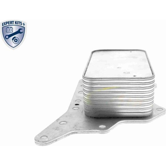 Vemo V30-60-1322 Ölkühler, Motoröl Expert Kits + Vemo V30-60-1322 Ölkühler, Motoröl Expert Kits +