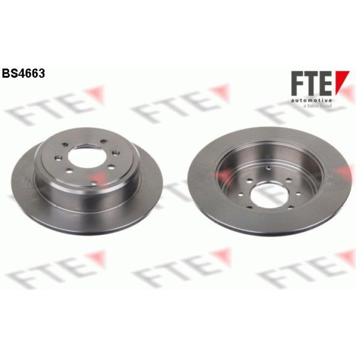 FTE 9072138 Bremsscheibe FTE 9072138 Bremsscheibe