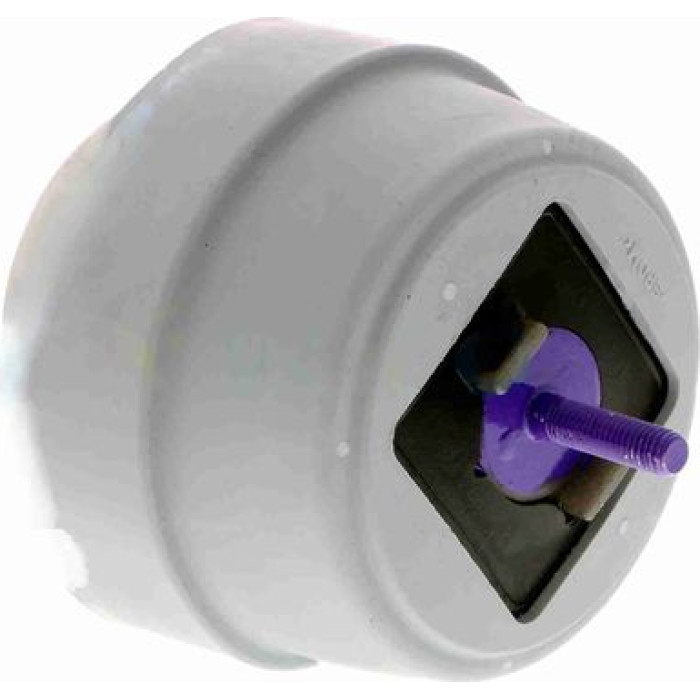 Vaico V10-2960 Lagerung, Motor