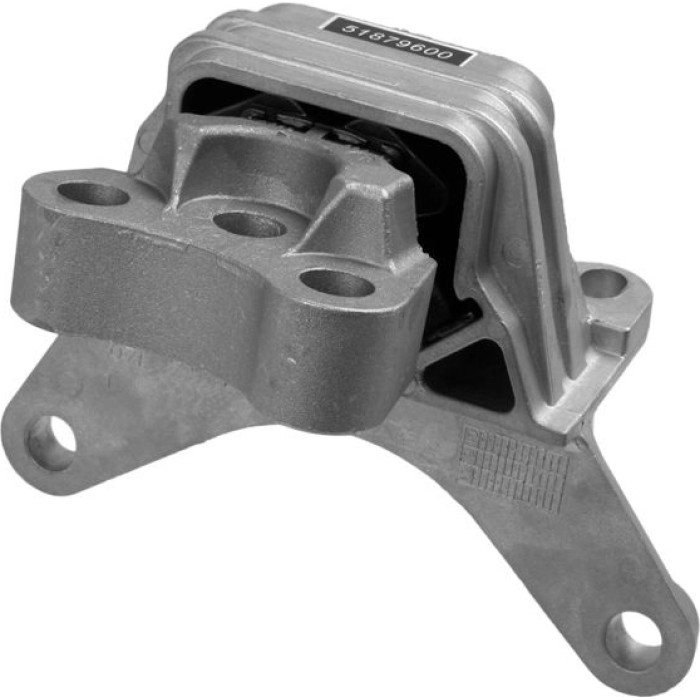 Lemförder 35567 01 Lagerung, Motor