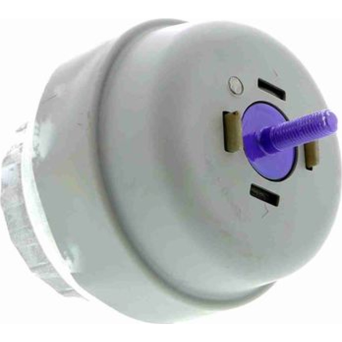 Vaico V10-1679 Lagerung, Motor