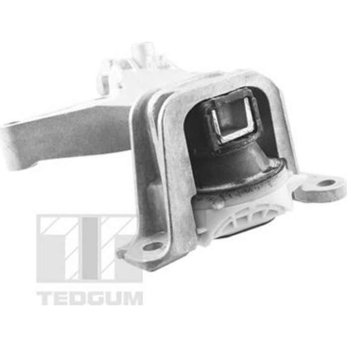 Tedgum TED61737 Lagerung, Motor