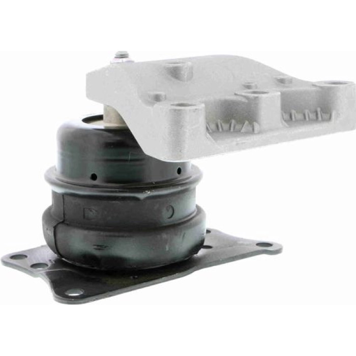 Vaico V10-2134 Lagerung, Motor