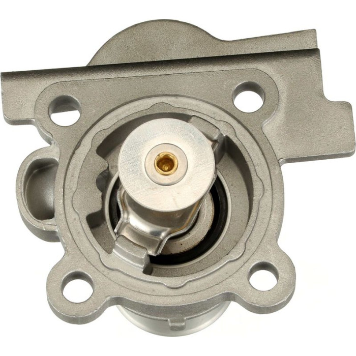 Thermostat, Kühlmittel TH74782G1