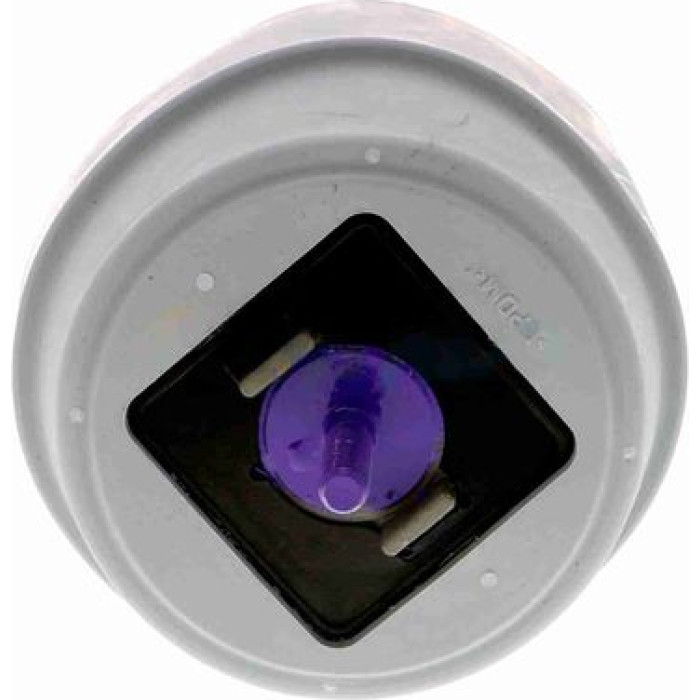 Vaico V10-2960 Lagerung, Motor