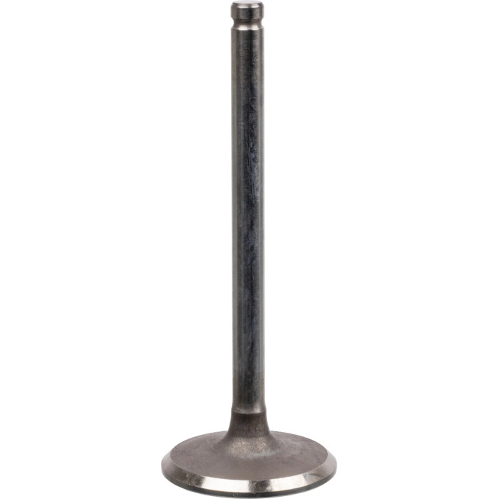 FEBI BILSTEIN 17392 Einlassventil