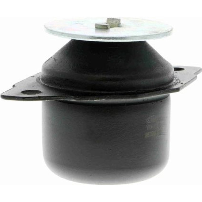 Vaico V10-1176 Lagerung, Motor