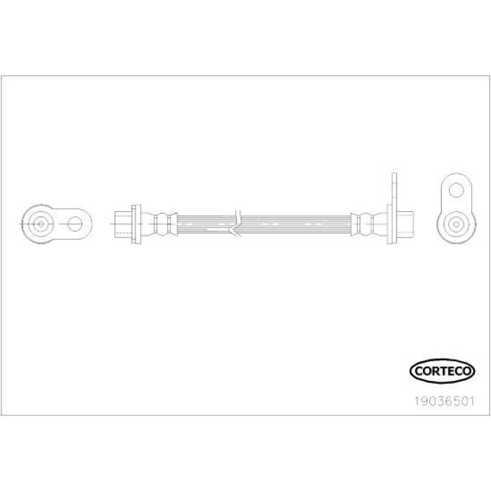 Corteco 19036501 Bremsschlauch