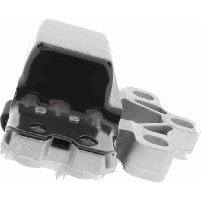 Vaico V10-1480 Lagerung, Motor