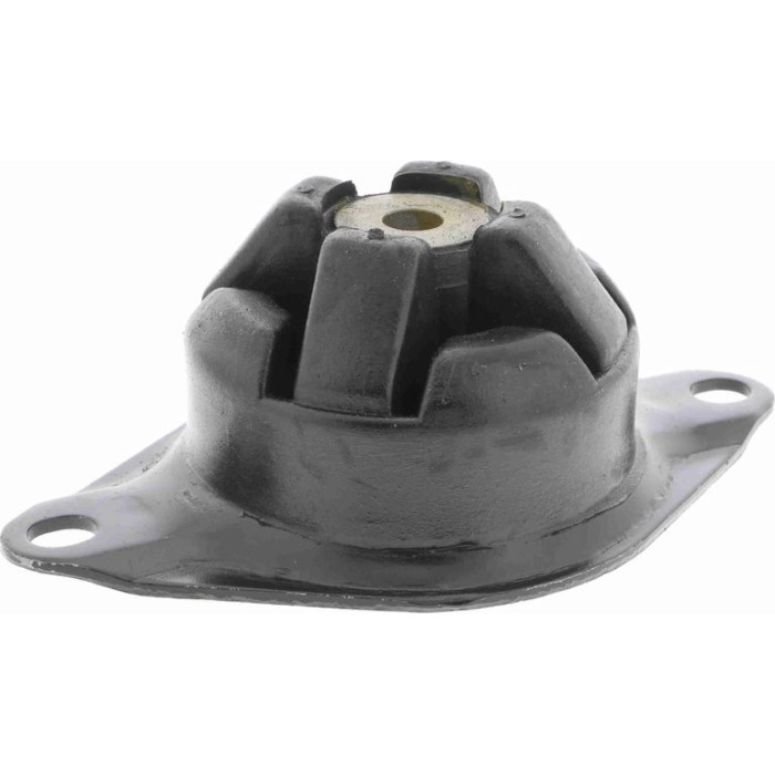 Vaico V10-2430 Lagerung, Motor