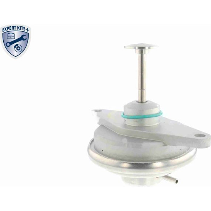 Vemo V40-63-0019 AGR-Ventil Expert Kits + Vemo V40-63-0019 AGR-Ventil Expert Kits +