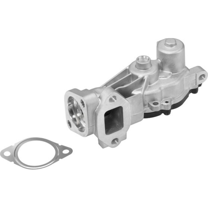 Wahler 710625D AGR-Ventil