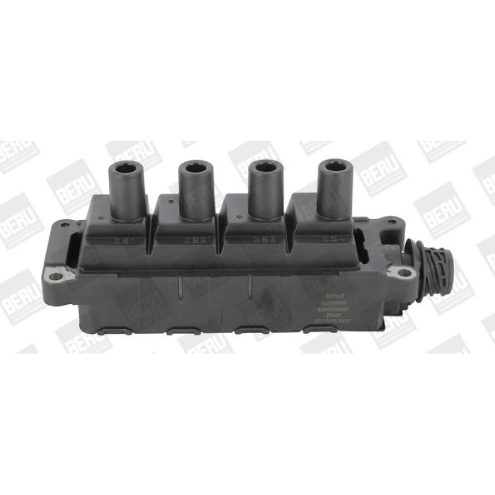 BorgWarner (BERU) ZS307 Zündspule