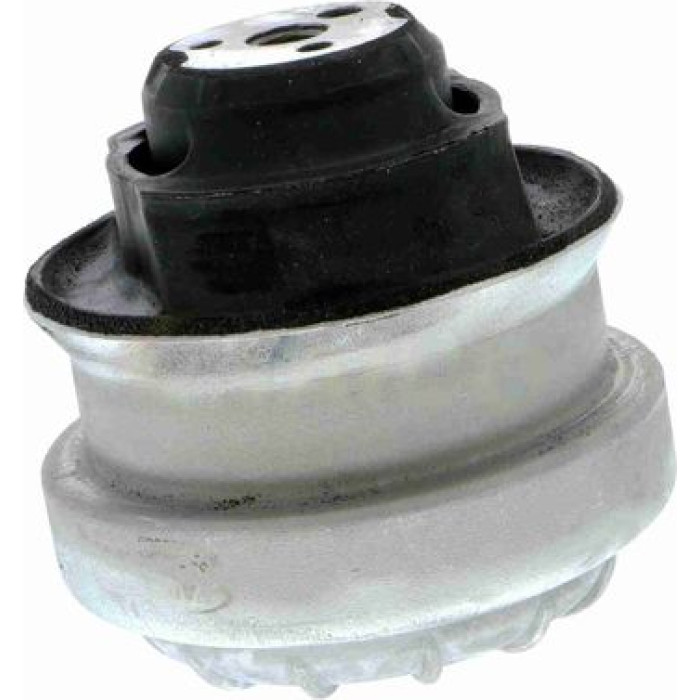 Vaico V30-1100 Lagerung, Motor