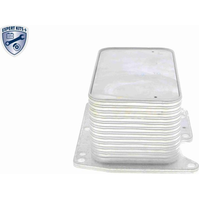 Vemo V46-60-0012 Ölkühler, Motoröl Expert Kits + Vemo V46-60-0012 Ölkühler, Motoröl Expert Kits +