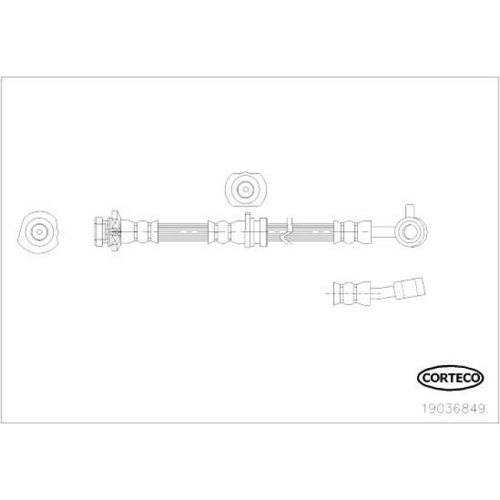Corteco 19036849 Bremsschlauch