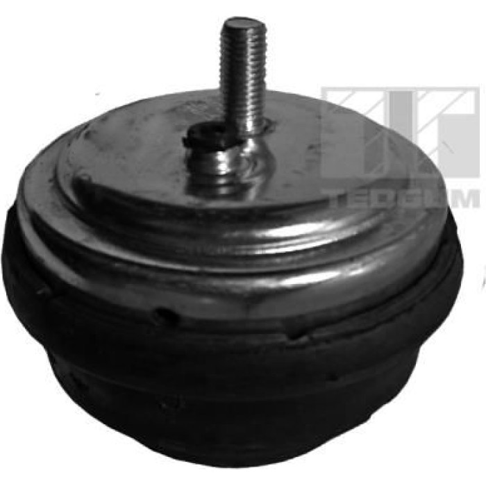 Tedgum 00080395 Lagerung, Motor