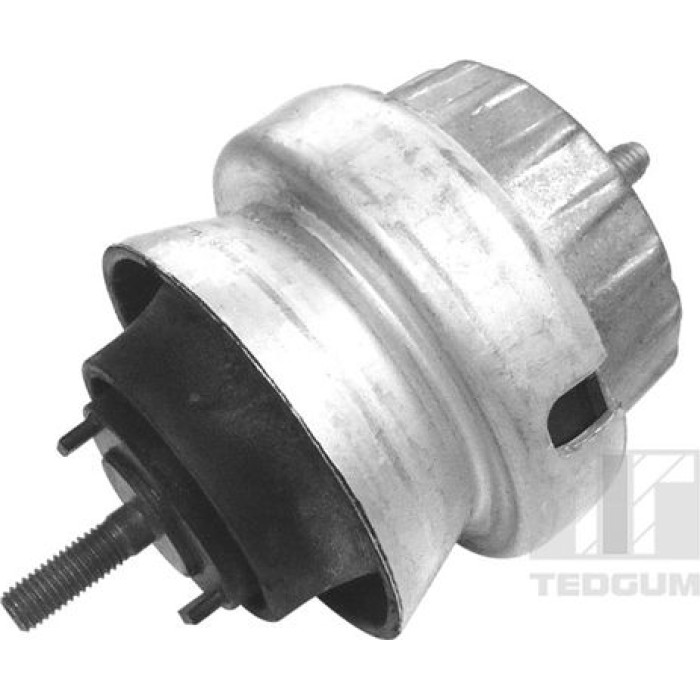 Tedgum 00056452 Lagerung, Motor