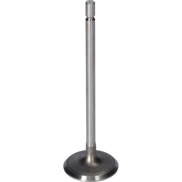 FEBI BILSTEIN 181077 Einlassventil FEBI BILSTEIN 181077 Einlassventil